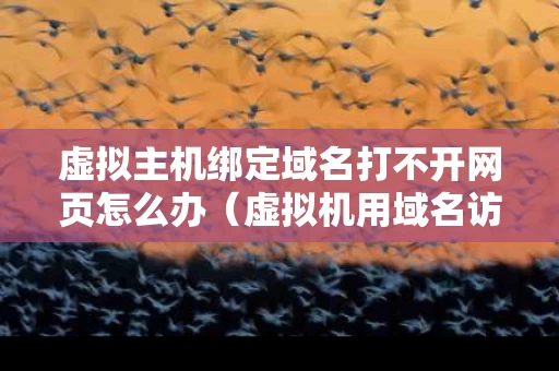 虚拟主机绑定域名打不开网页怎么办（虚拟机用域名访问网站）