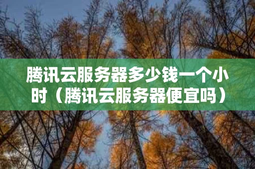 腾讯云服务器多少钱一个小时（腾讯云服务器便宜吗）