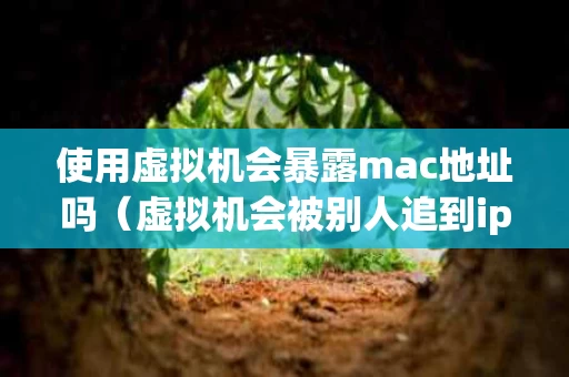使用虚拟机会暴露mac地址吗（虚拟机会被别人追到ip吗）