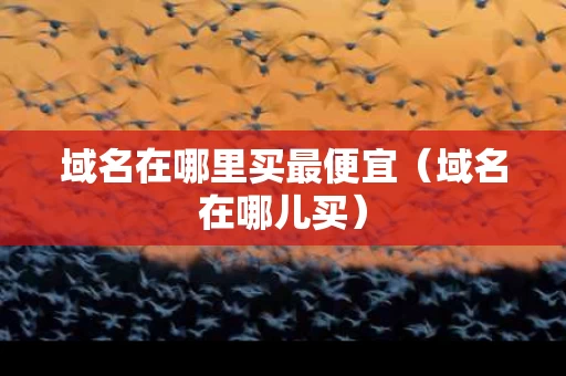 域名在哪里买最便宜（域名在哪儿买）