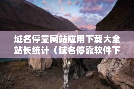 域名停靠网站应用下载大全站长统计（域名停靠软件下载网站免费版）