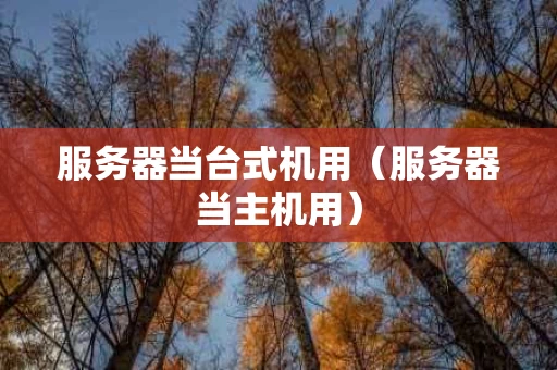 服务器当台式机用（服务器当主机用）