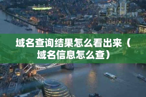 域名查询结果怎么看出来（域名信息怎么查）