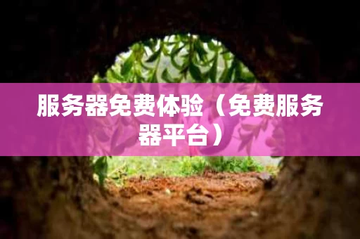 服务器免费体验（免费服务器平台）