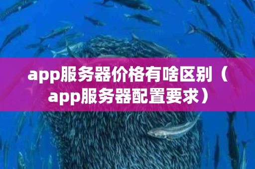 app服务器价格有啥区别（app服务器配置要求）