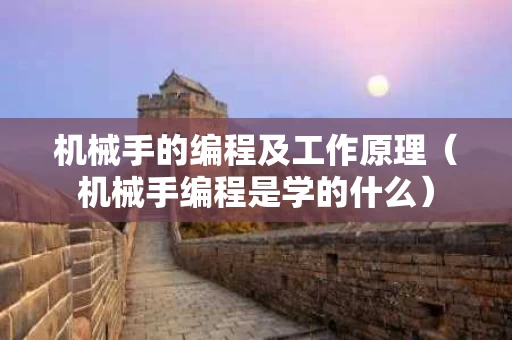 机械手的编程及工作原理（机械手编程是学的什么）