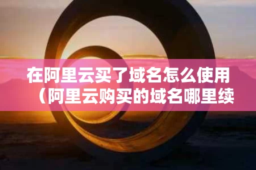 在阿里云买了域名怎么使用（阿里云购买的域名哪里续费）