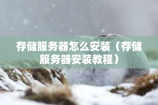 存储服务器怎么安装（存储服务器安装教程）