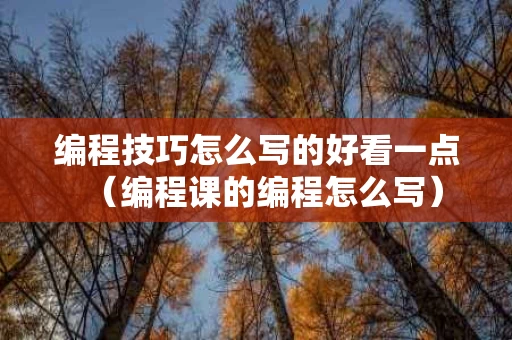 编程技巧怎么写的好看一点（编程课的编程怎么写）
