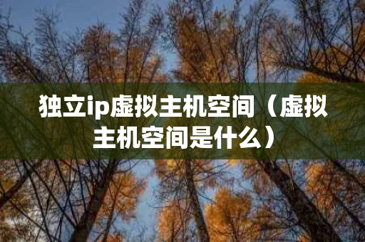 独立ip虚拟主机空间（虚拟主机空间是什么）