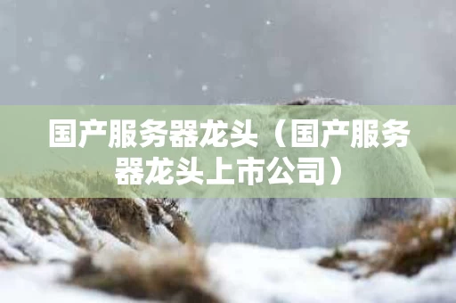 国产服务器龙头（国产服务器龙头上市公司）