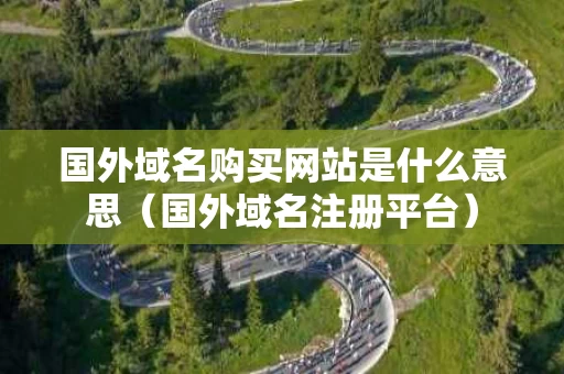 国外域名购买网站是什么意思（国外域名注册平台）