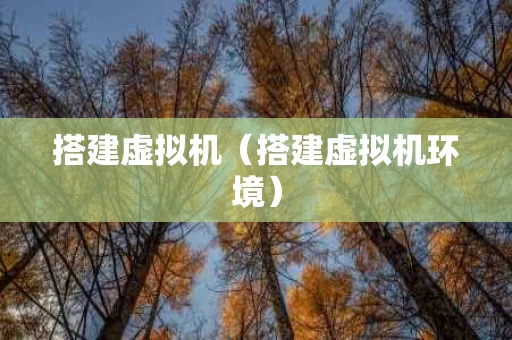 搭建虚拟机（搭建虚拟机环境）