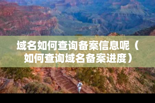 域名如何查询备案信息呢（如何查询域名备案进度）