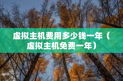 虚拟主机费用多少钱一年（虚拟主机免费一年）