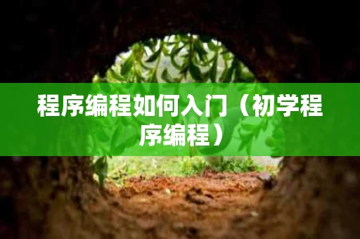 程序编程如何入门（初学程序编程）