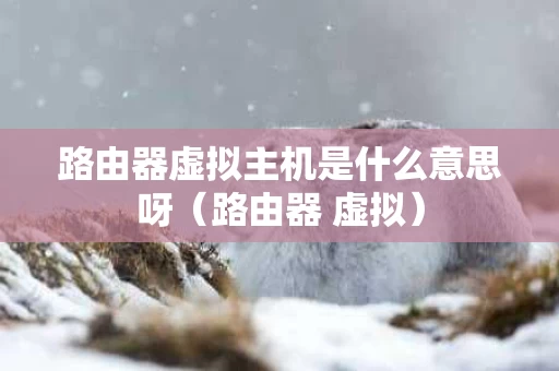 路由器虚拟主机是什么意思呀（路由器 虚拟）