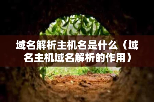 域名解析主机名是什么（域名主机域名解析的作用）
