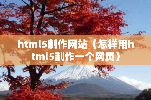 html5制作网站（怎样用html5制作一个网页）