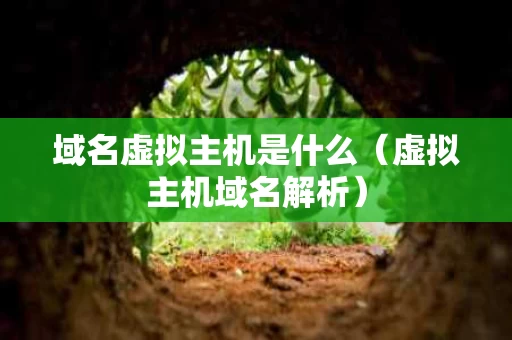 域名虚拟主机是什么（虚拟主机域名解析）