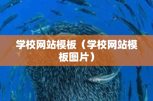 学校网站模板（学校网站模板图片）