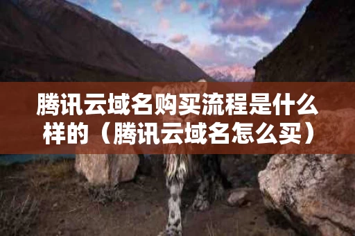 腾讯云域名购买流程是什么样的（腾讯云域名怎么买）