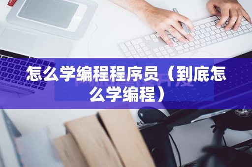 怎么学编程程序员（到底怎么学编程）