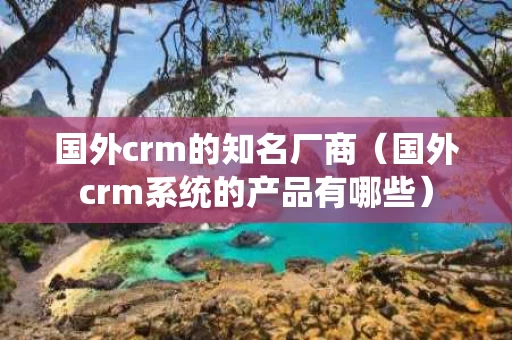 国外crm的知名厂商（国外crm系统的产品有哪些）