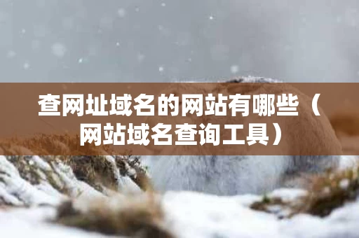 查网址域名的网站有哪些（网站域名查询工具）