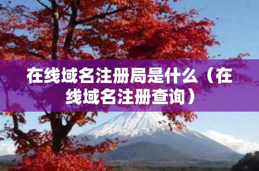 在线域名注册局是什么（在线域名注册查询）