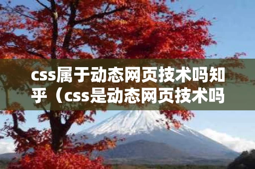 css属于动态网页技术吗知乎（css是动态网页技术吗）
