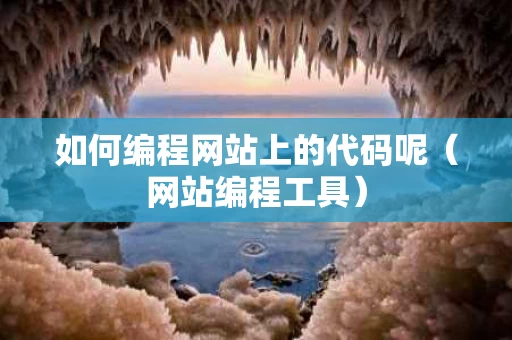 如何编程网站上的代码呢（网站编程工具）