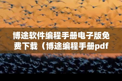 博途软件编程手册电子版免费下载（博途编程手册pdf）