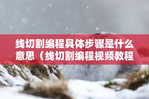 线切割编程具体步骤是什么意思（线切割编程视频教程）
