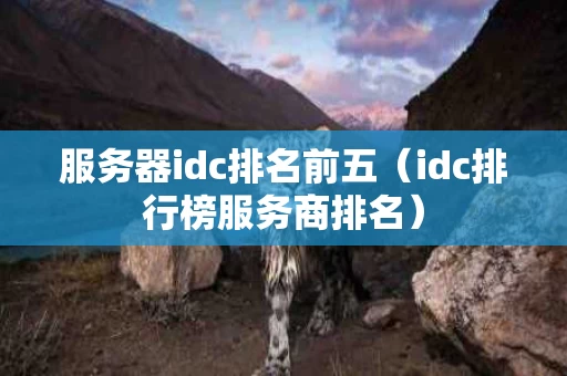 服务器idc排名前五（idc排行榜服务商排名）
