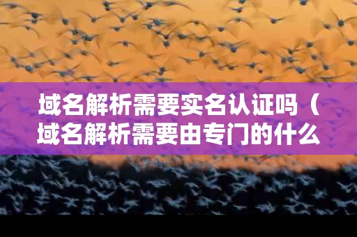 域名解析需要实名认证吗（域名解析需要由专门的什么来完成）