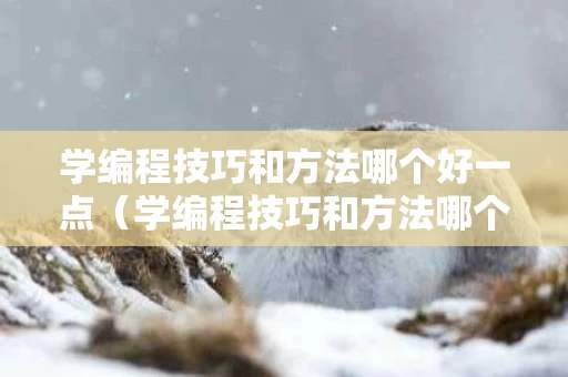 学编程技巧和方法哪个好一点（学编程技巧和方法哪个好一点呢）