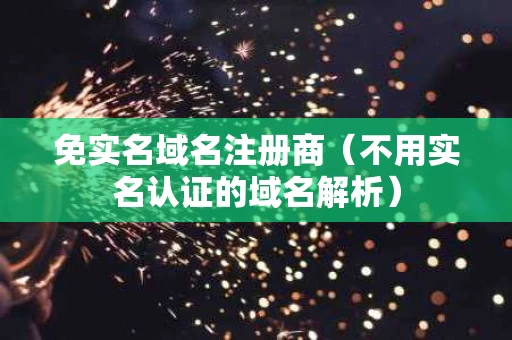 免实名域名注册商（不用实名认证的域名解析）