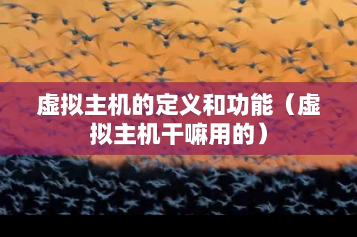 虚拟主机的定义和功能（虚拟主机干嘛用的）