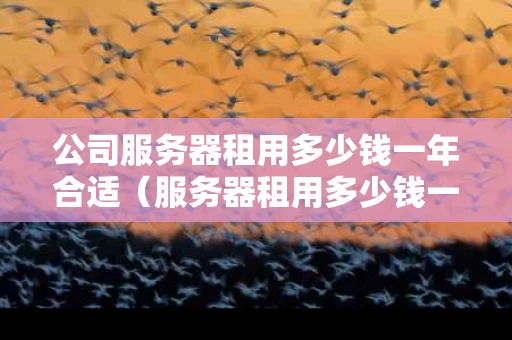 公司服务器租用多少钱一年合适（服务器租用多少钱一月）