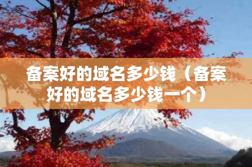 备案好的域名多少钱（备案好的域名多少钱一个）