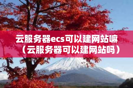 云服务器ecs可以建网站嘛（云服务器可以建网站吗）