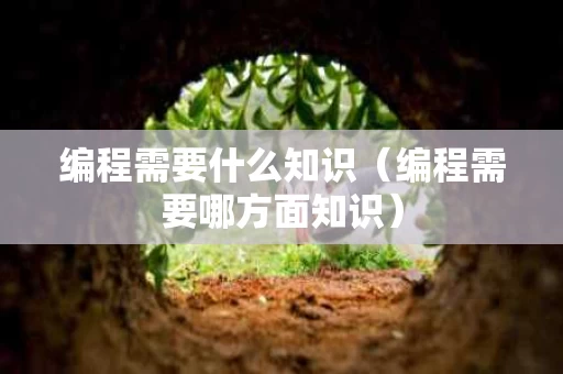 编程需要什么知识（编程需要哪方面知识）
