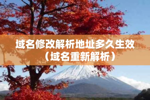 域名修改解析地址多久生效（域名重新解析）