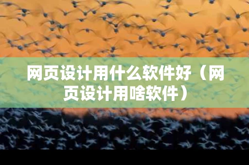 网页设计用什么软件好（网页设计用啥软件）