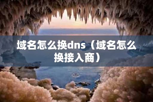域名怎么换dns（域名怎么换接入商）