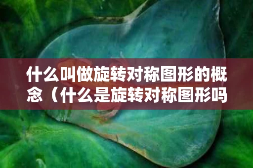 什么叫做旋转对称图形的概念（什么是旋转对称图形吗）