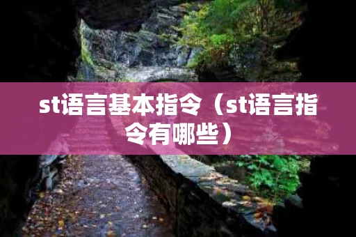 st语言基本指令（st语言指令有哪些）