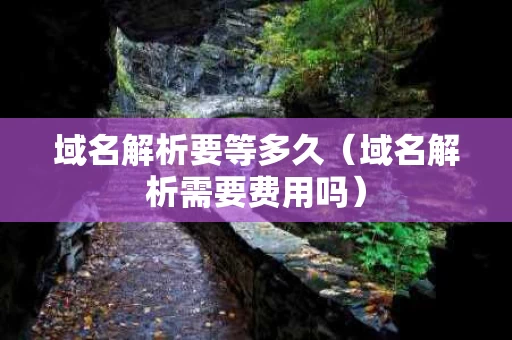 域名解析要等多久（域名解析需要费用吗）