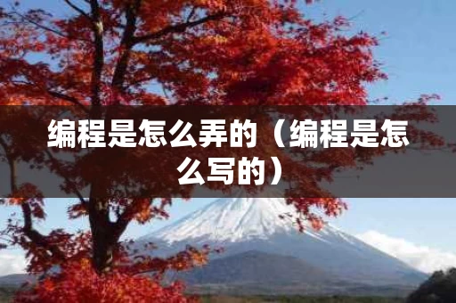 编程是怎么弄的（编程是怎么写的）
